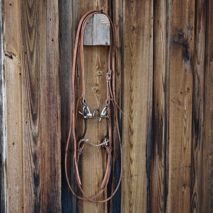 Josh Ownbey Solid Port Bridle Rig w/All New Leather
