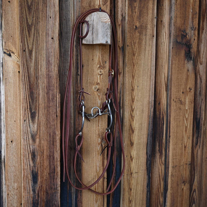 Jim Edwards Correction Bridle Rig w/All New Leather