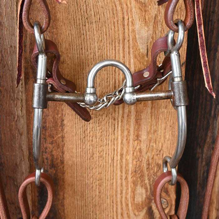 Jim Edwards Correction Bridle Rig w/All New Leather