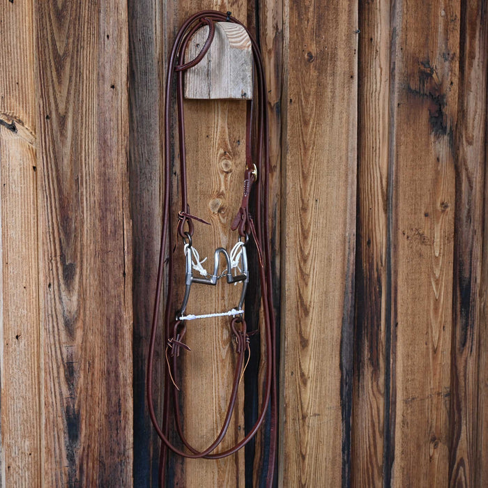 Jim Edwards Cathedral Correction Bridle Rig w/All New Leather