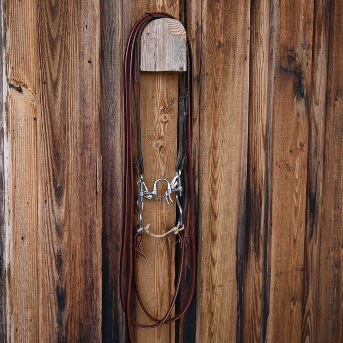 Josh Ownbey Correction Bridle Rig w/Split Ear Headstall
