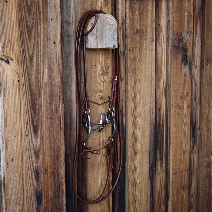 Jim Edwards Correction Bridle Rig w/All New Leather