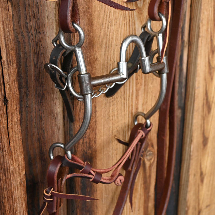 Jim Edwards Correction Bridle Rig w/All New Leather