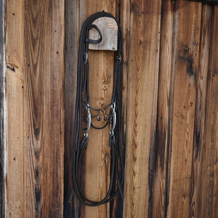 Daryl Davis Solid Port Bridle Rig w/Single Ear Headstall