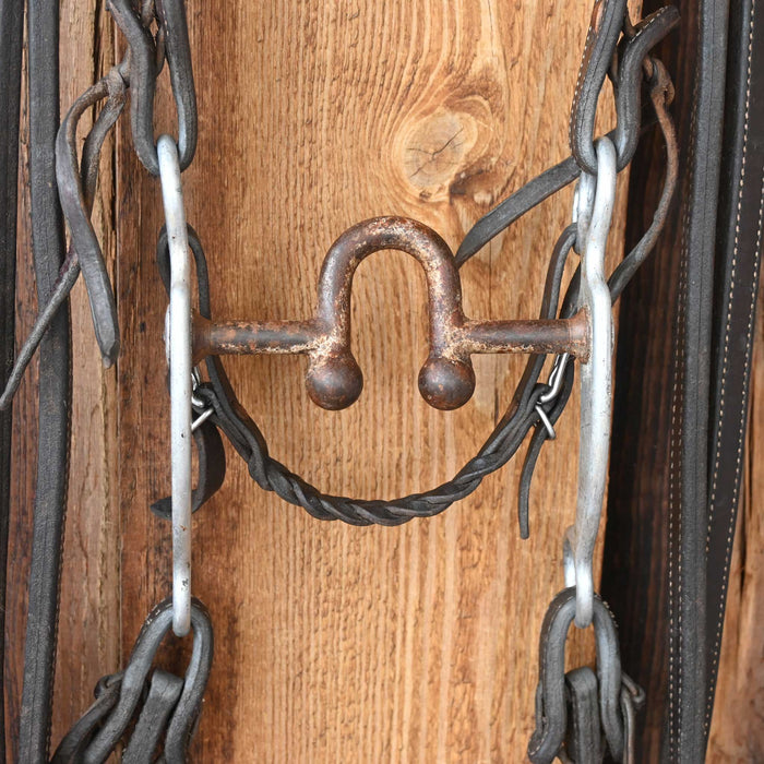 Daryl Davis Solid Port Bridle Rig w/Single Ear Headstall