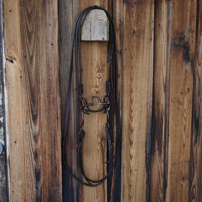 Solid Port Bridle Rig w/Split Ear Headstall