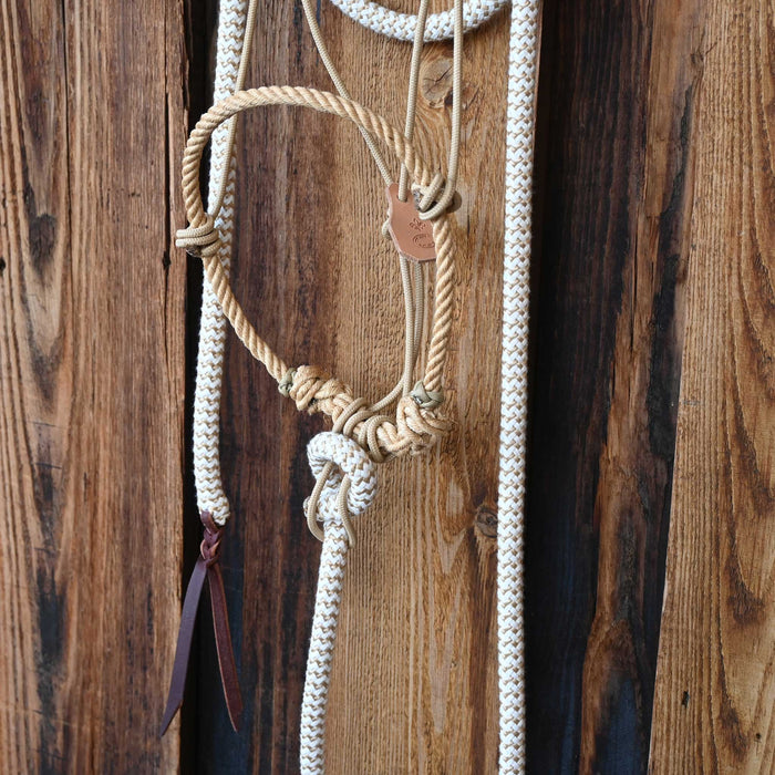 Jeff Butler Loping Hackamore