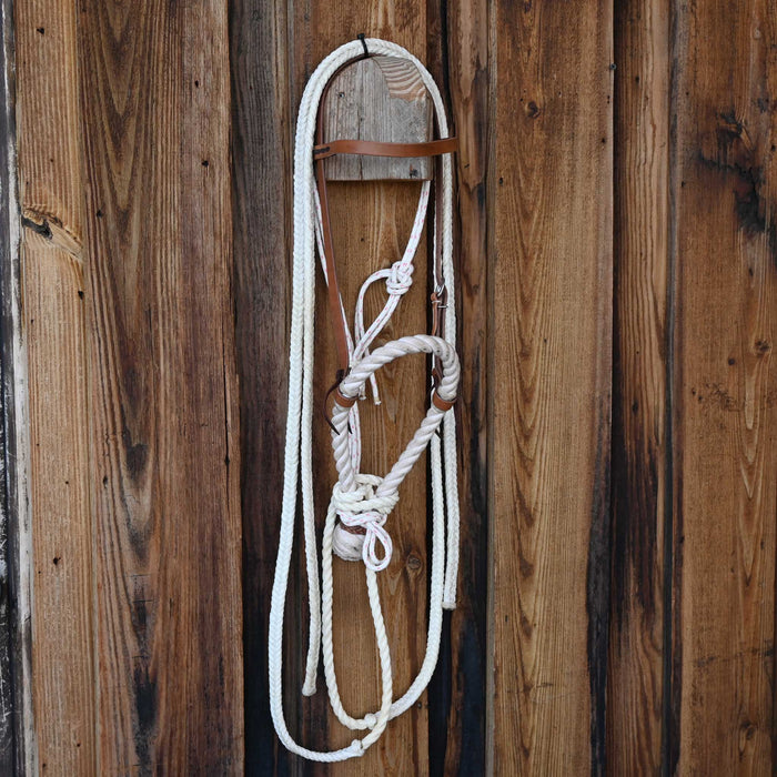 Billy Albin Loping Hackamore w/Leather Browband
