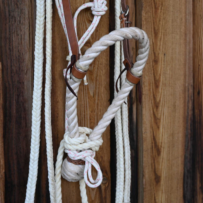 Billy Albin Loping Hackamore w/Leather Browband