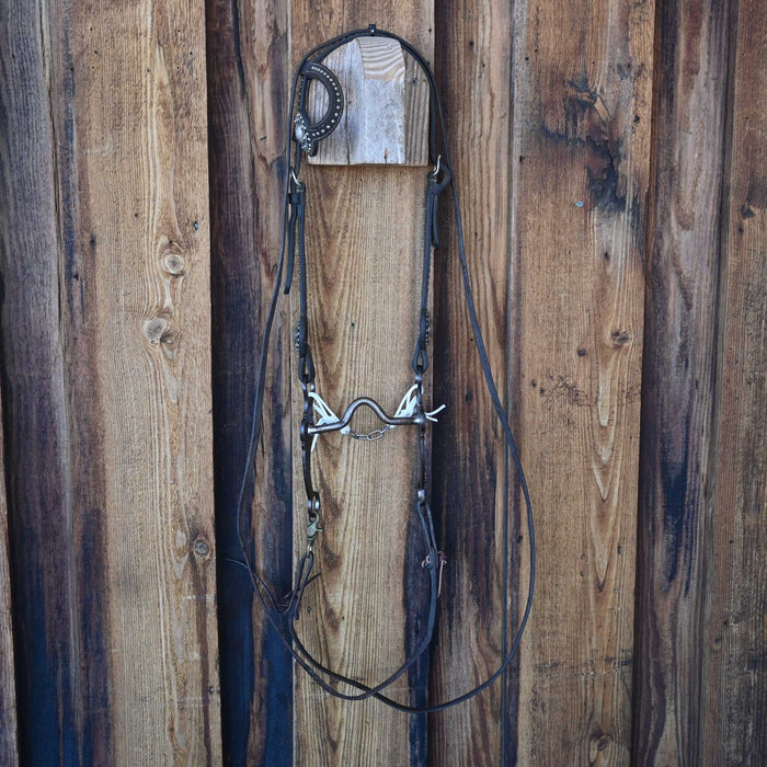 Solid Port Bridle Rig w/Single Ear Headstall