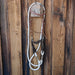 D-Ring Angled Snaffle Bridle Rig w/Browband Headstall Tack - Rigs misc