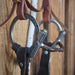 D-Ring Angled Snaffle Bridle Rig w/Browband Headstall Tack - Rigs misc
