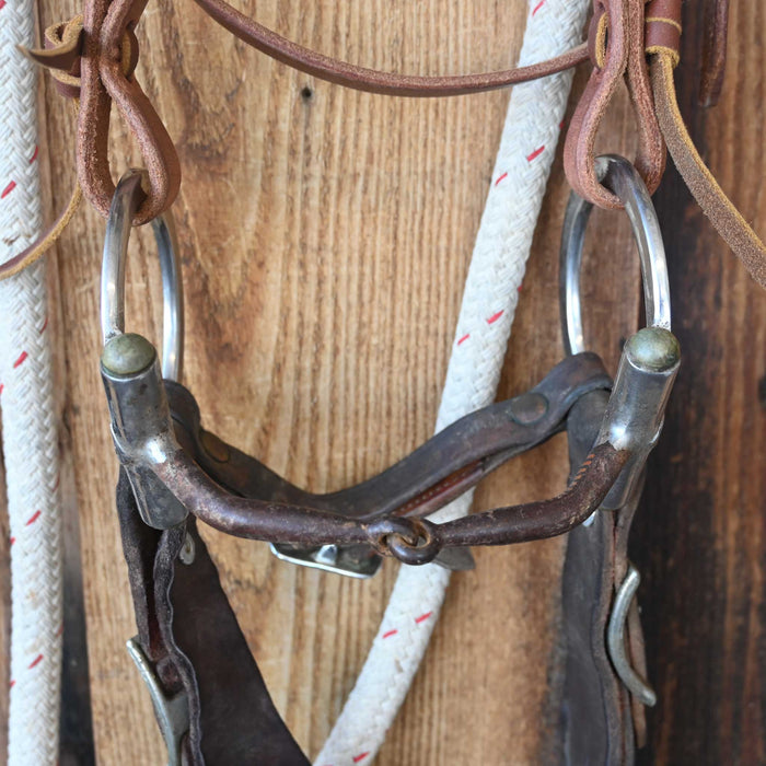 D-Ring Angled Snaffle Bridle Rig w/Browband Headstall Tack - Rigs misc