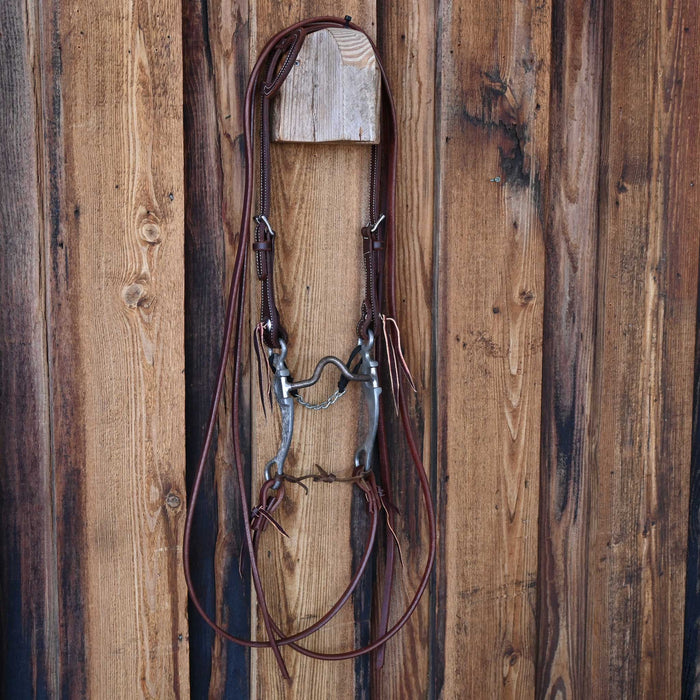 FG Solid Port Bridle Rig w/Single Ear Headstall