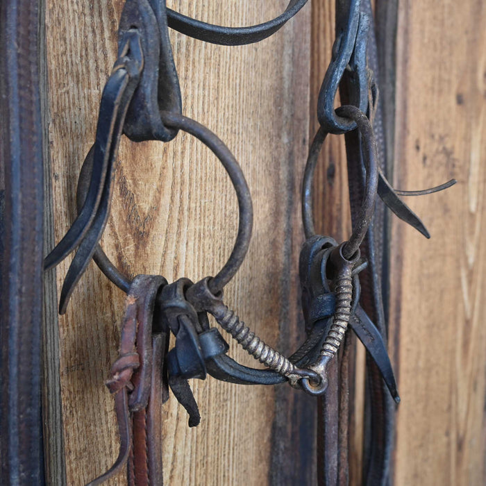 O-Ring Corkscrew Snaffle Bridle Rig w/Browband Headstall
