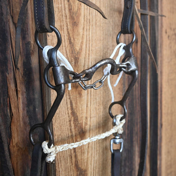 Dutton Ported Chain Bridle Rig w/Single Ear Headstall