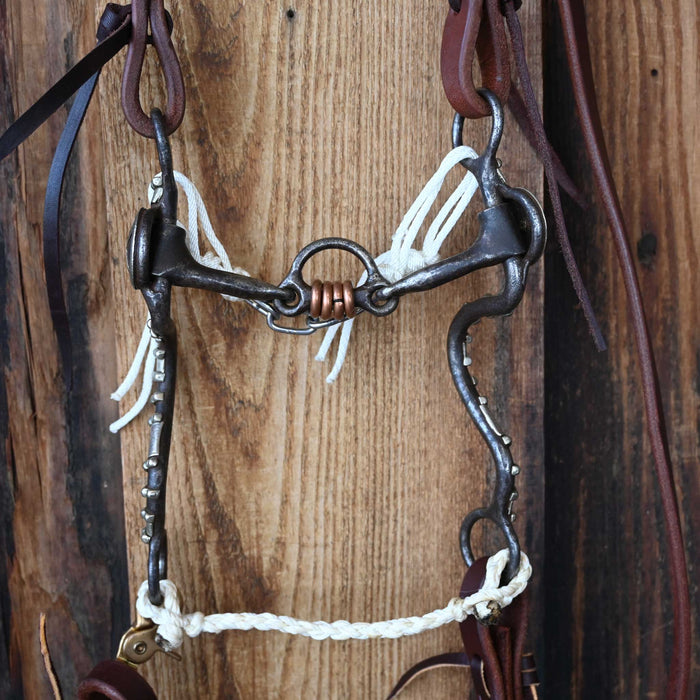 Dutton 3pc. Bridle Rig w/Single Ear Headstall