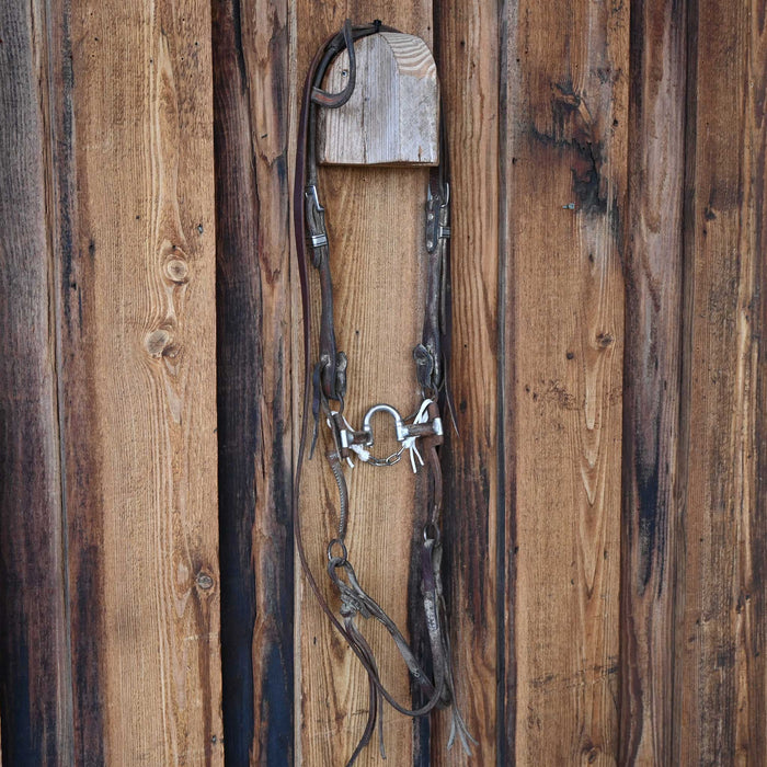 Correction Bridle Rig w/Single Ear Headstall