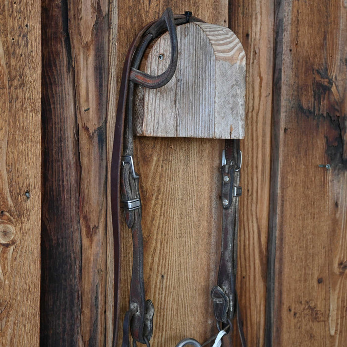 Correction Bridle Rig w/Single Ear Headstall
