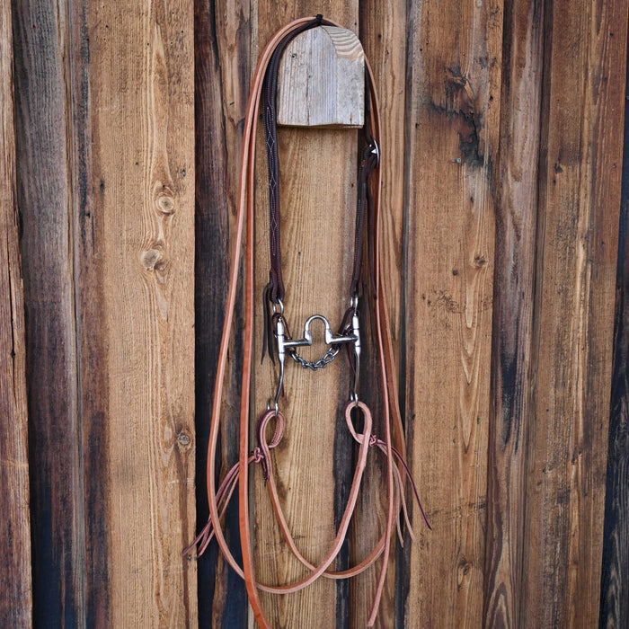 Bill Freeman Correction Bridle Rig w/Split Ear Headstall