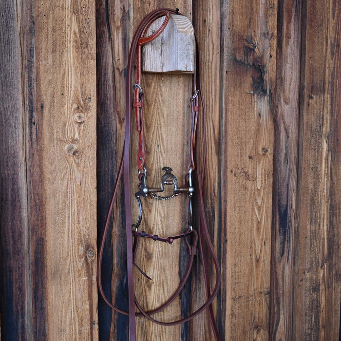 Tom Balding Cathedral Bridle Rig w/Single Ear Headstall