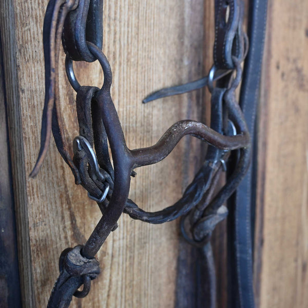 Headstalls & Rigs