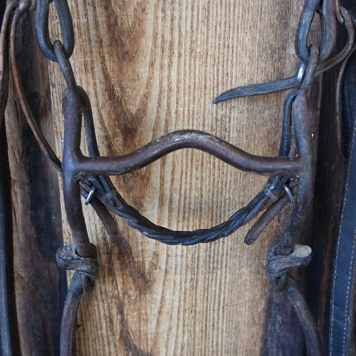 Daryl Davis Solid Port Bridle Rig w/Single Ear Headstall