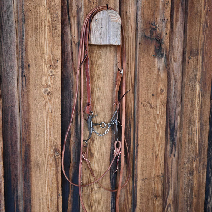 Josh Ownbey Slow Twist Lifesaver Bridle Rig w/Split Ear Headstall