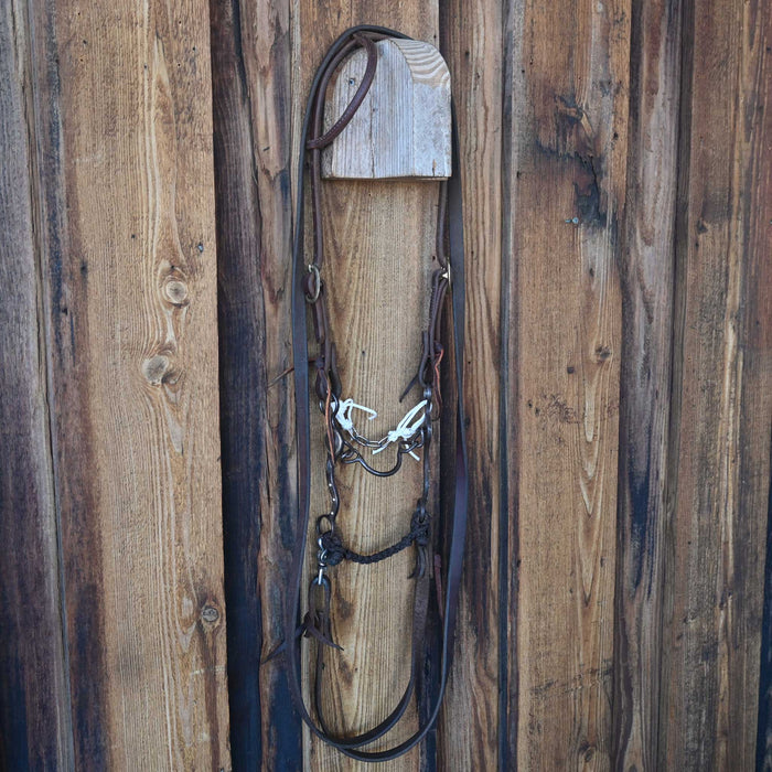 Ported Chain Bridle Rig w/Single Ear Headstall