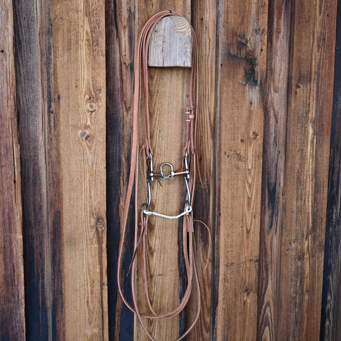 Kerry Kelley 7 10 Correction Bridle Rig w/Craig Lewis Leather
