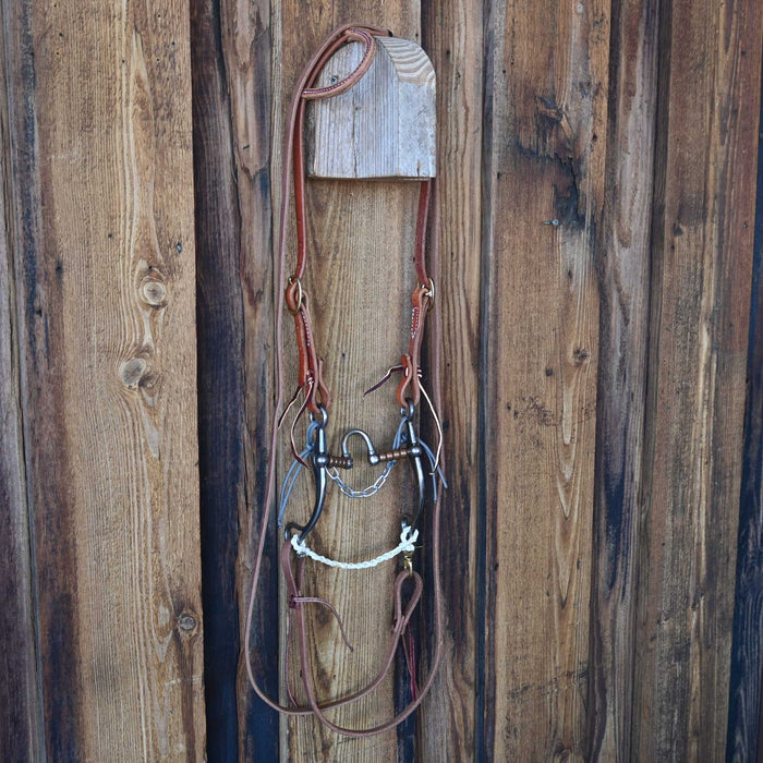 Professional's Choice Correction Bridle Rig w/All New Leather