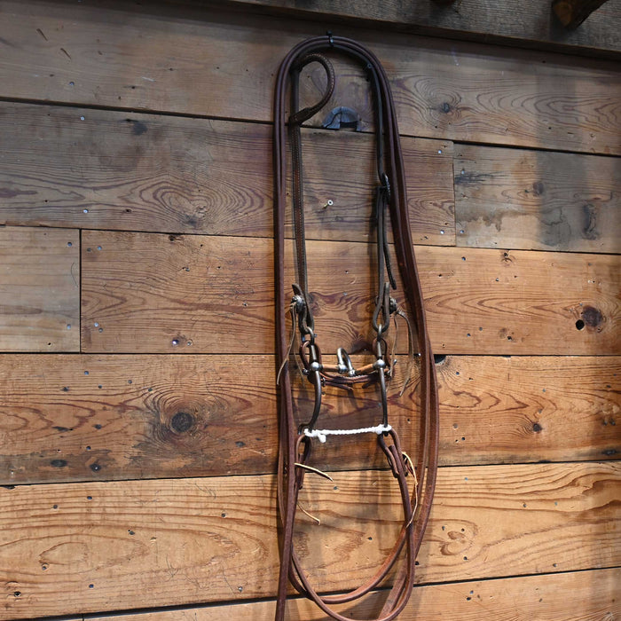 Kerry Kelley 65 Cathedral Bridle Rig