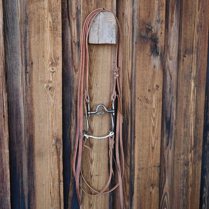 Kerry Kelley 7 MB Flat Johnny Bridle Rig w/Craig Lewis Leather