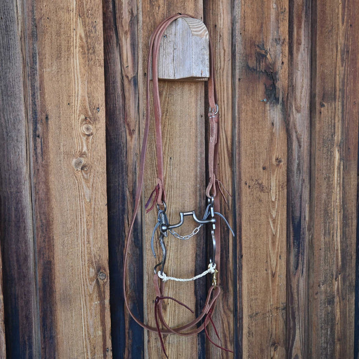 Professional's Choice Bob Avilla Hinge Port Bridle Rig w/All New Leather
