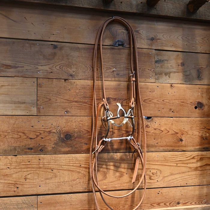 Kerry Kelley 65 Cathedral Bridle Rig