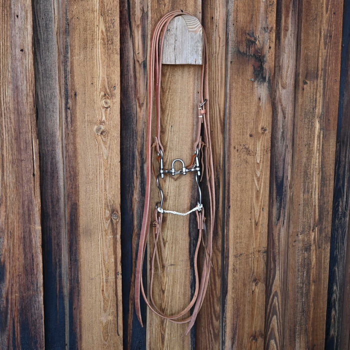 Kerry Kelley 10 Slow Twist 20 Full Drop Bridle Rig w/Craig Lewis Leather Tack - Rigs Kerry Kelley