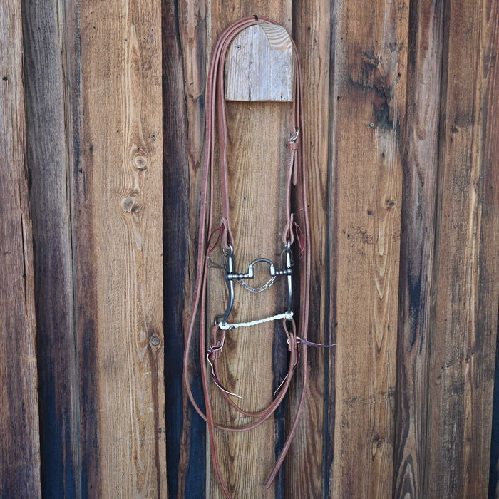 Brandon Anthony Correction Bridle Rig w/Craig Lewis Leather