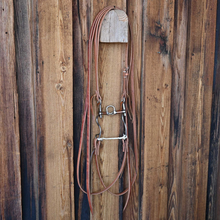 Kerry Kelley 10 10 Correction Port Bridle Rig w/Craig Lewis Leather