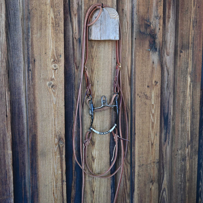 High Port Bridle Rig w/All New Leather