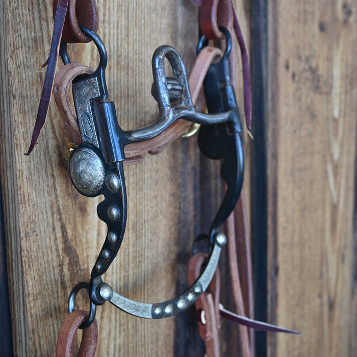 High Port Bridle Rig w/All New Leather