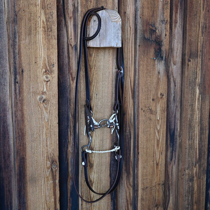 Kerry Kelley 02S Ported Chain Bridle Rig w/All New Leather