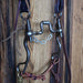 Kerry Kelley 02S Slow Twist Hinge Port Bridle Rig w/All New Leather Tack - Rigs Kerry Kelley