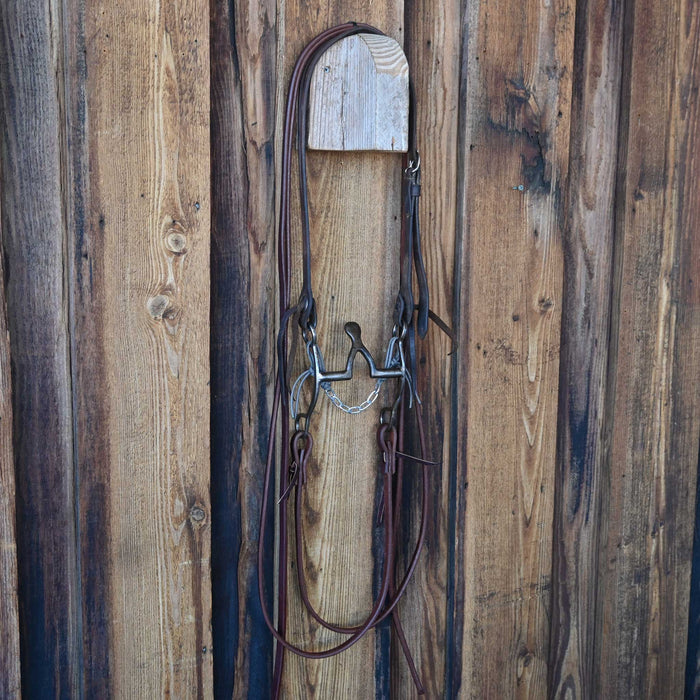 Kerry Kelley Cathedral Bridle Rig w/ Split Ear Headstall