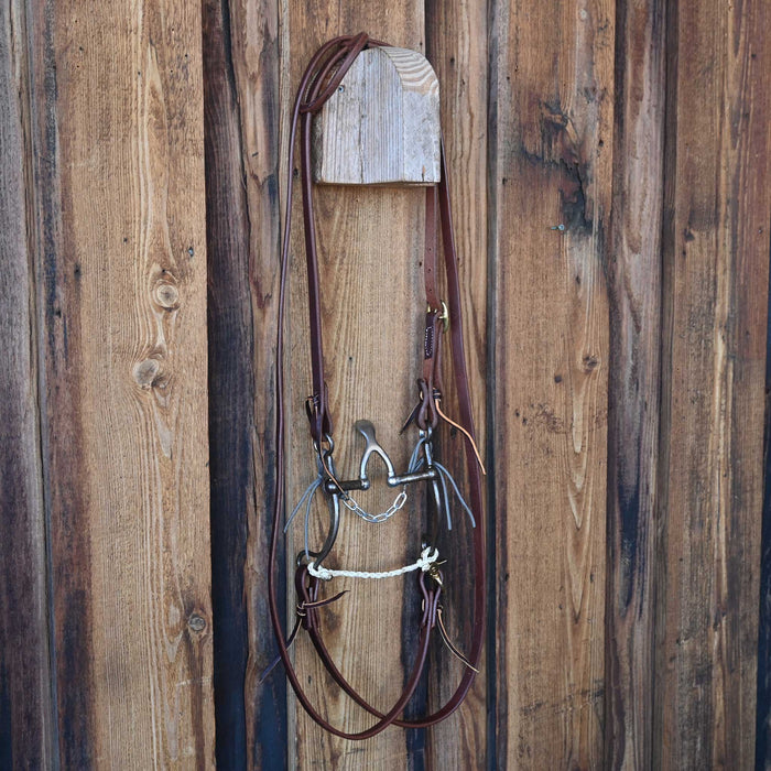 Kerry Kelley 65 Cathedral Correction Bridle Rig w/ Single Ear Headstall
