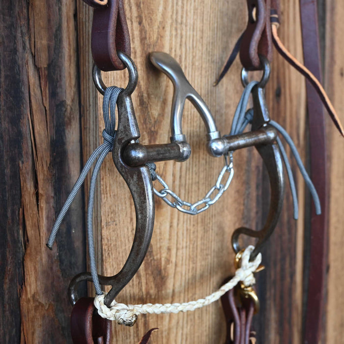 Kerry Kelley 65 Cathedral Correction Bridle Rig w/ Single Ear Headstall