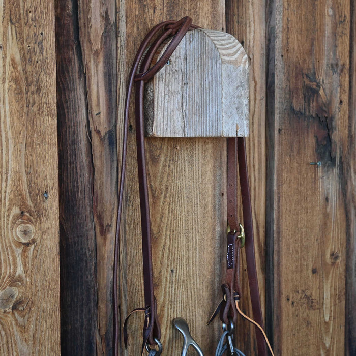 Kerry Kelley 65 Cathedral Correction Bridle Rig w/ Single Ear Headstall