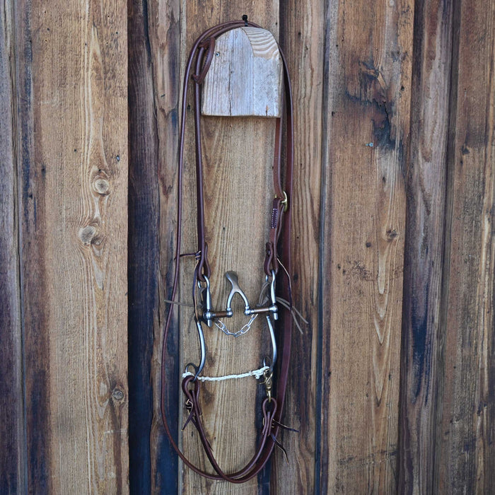 Kerry Kelley 7 Cathedral Correction Bridle Rig w/ Single Ear Headstall