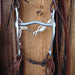 Ricardo Low Port Bridle Rig w/Single Ear Headstall Tack - Rigs Ricardo