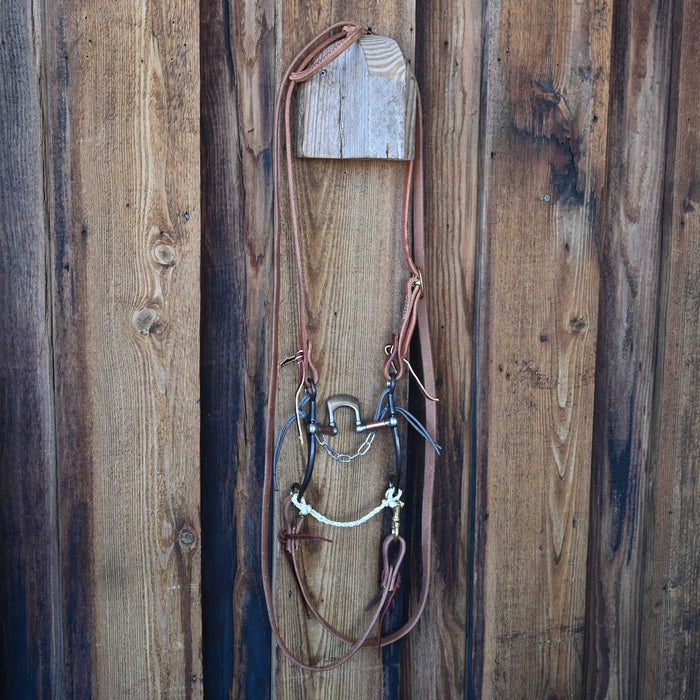 Kerry Kelley 65 Flat Correction Bridle Rig w/ Single Ear Headstall