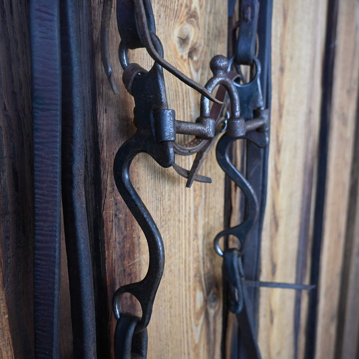 Rod Teuscher Correction Bridle Rig w/Browband Headstall Tack - Rigs Rod Teuscher